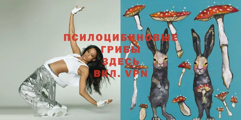 Псилоцибиновые грибы Magic Shrooms  Баксан 